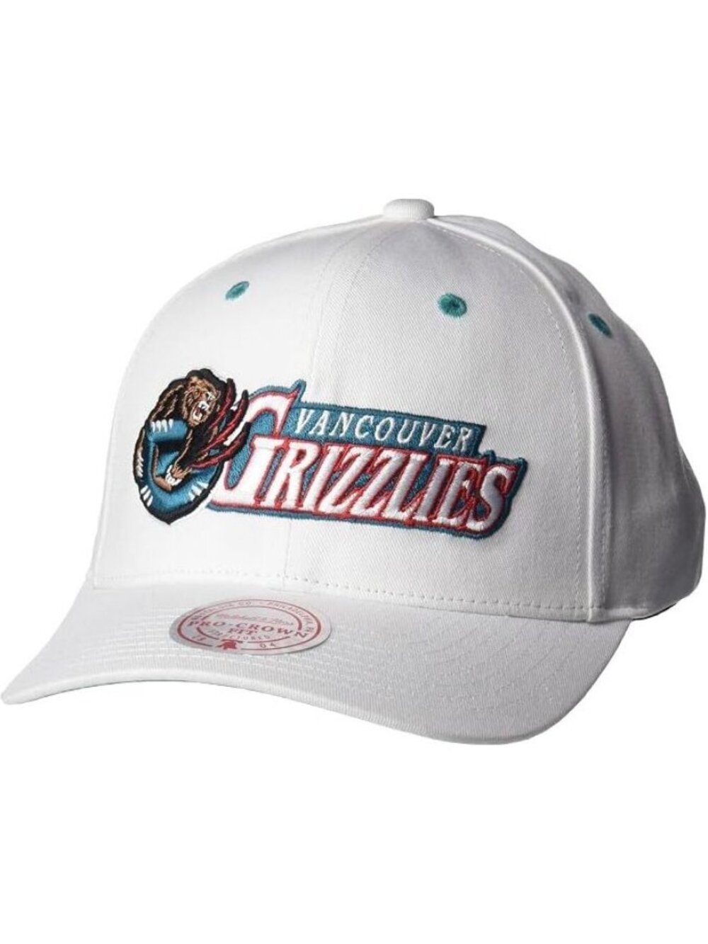Mitchell & Ness Vancouver Grizzlies NBA Oh Word Pro Snapback Hat Cap Hardwood